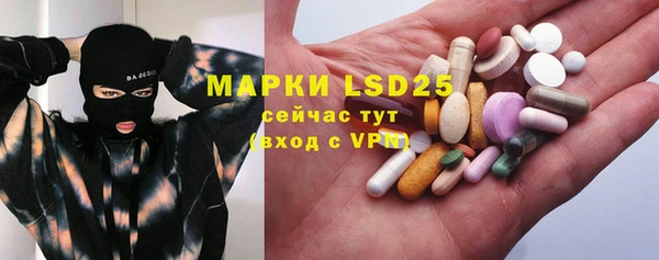 ГАЛЛЮЦИНОГЕННЫЕ ГРИБЫ Алзамай