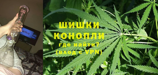 ГАЛЛЮЦИНОГЕННЫЕ ГРИБЫ Алзамай