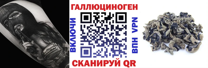 kraken вход  Нурлат  Псилоцибиновые грибы GOLDEN TEACHER 