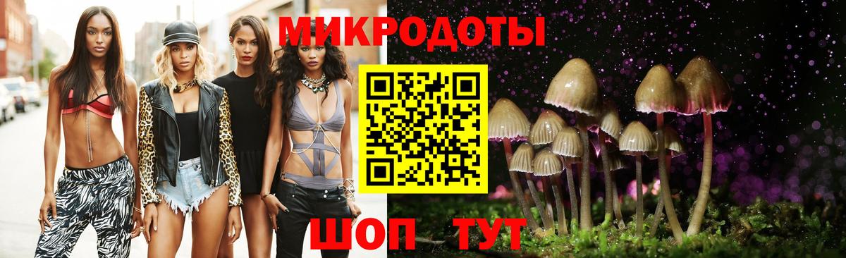 Псилоцибиновые грибы Psilocybe Нурлат