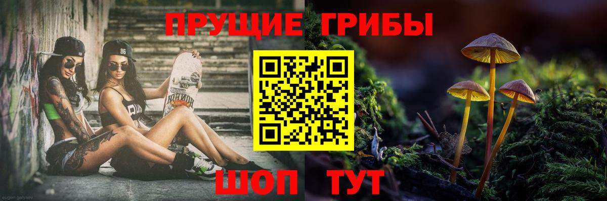Нурлат  Псилоцибиновые грибы Psilocybine cubensis  Вход с VPN 